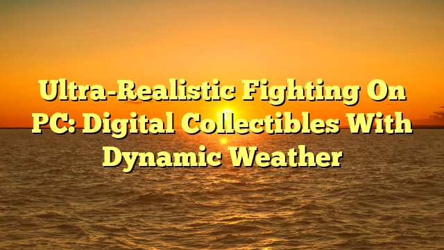 Ultra-Realistic Fighting On PC: Digital Collectibles With Dynamic Weather